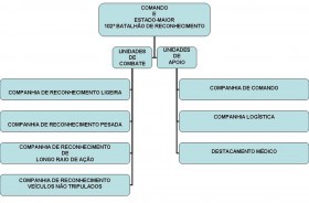 Organograma da unidade