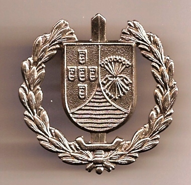 Distintivo usado na boina dos GEP