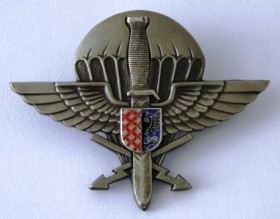 Distintivo de qualificação exclusiva para os operacionais do 102º BATALHÃO DE RECONHECIMENTO " General Karel Palecek ". (Col. do autor)
