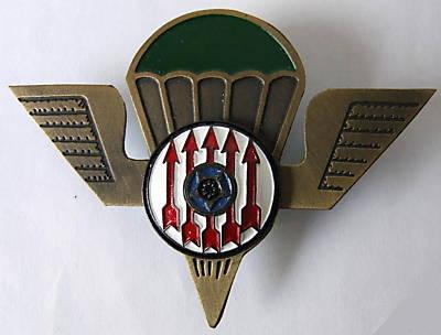 Distintivo Renamo