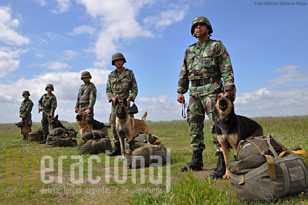 Patrulha de salto pronta sem novidades. Os cinco pára-quedistas e cinco cães que cumpriram a primeira missão de salto em pára-quedas a partir do C-295M da Força Aérea Portuguesa.