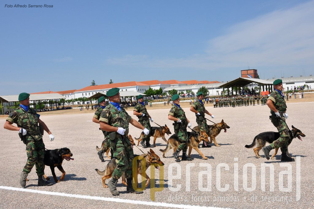 Pioneiros nesta actividade em Portugal, mesmo que hoje outras forças façam uso mais intenso dos cães militares, os pára-quedistas mantém esta valência que tantas provas tem dado.
