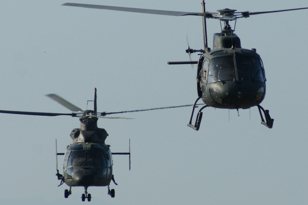 A modernização do "Pantera" (à esquerda) e do "Esquilo", vão manter estes helicópetros ao serviço por mais 25 anos.