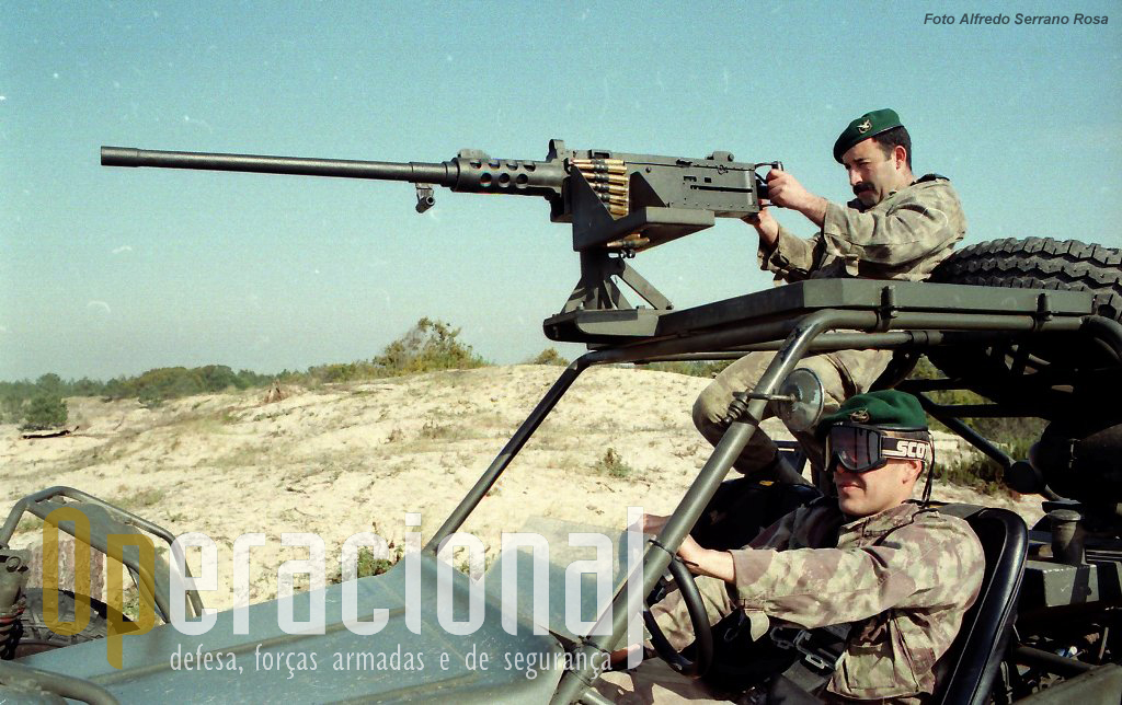 Parte das FAV estavam equipadas com o LGA Mk.19 e outras com a potente Browning 12,7mm. Inicialmente cada FAV apena dispunha de uma arma.