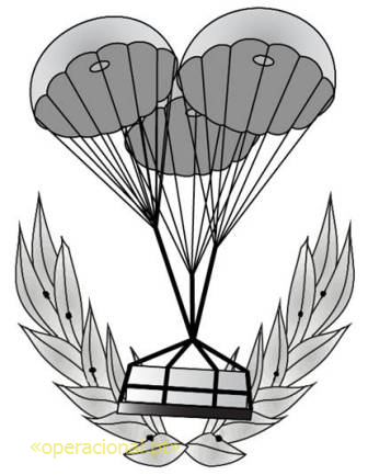 Desenho gráfico do distintivo de qualificação do curso de «INSPETOR DE ABASTECIMENTO AÉREO».