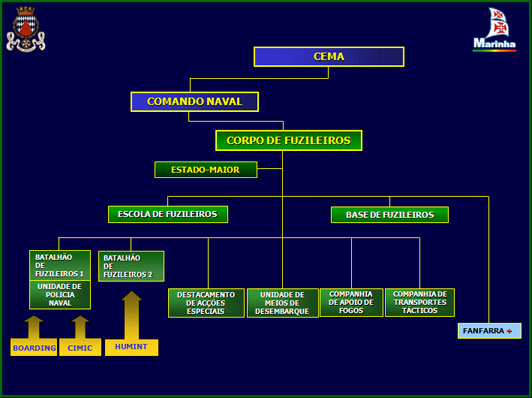 A organização actual do Corpo de Fuzileiros remonta a 1994, tendo no entanto sido criadas algumas valências, "residentes" nos dois batalhões: Pelotão de Abordagem; Destacamento de Cooperação Civil-Militar; Destacamento de Informações.  