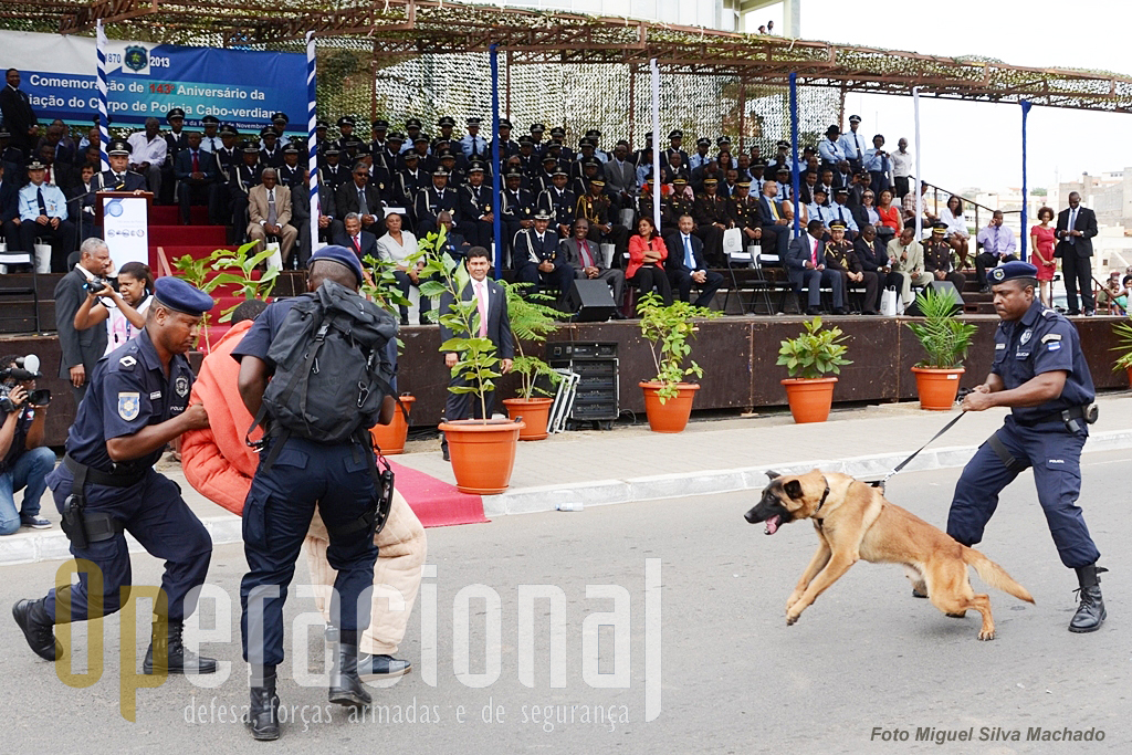No 143.º Aniversário da criação do Corpo de Policia em Cabo Verde, na cidade da Praia em Novembro de 2013, a demonstração de "técnica canina" foi a grande surpresa. Na  tribuna o 1.º Ministro presidia à cerimónia.