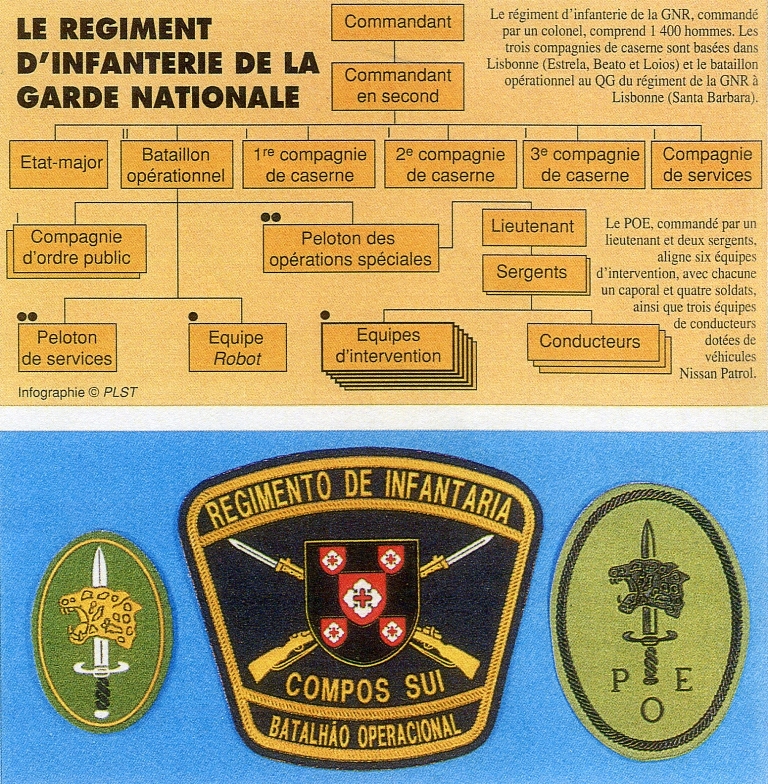 Organograma e simbologia publicada na edição francesa da RAIDS.