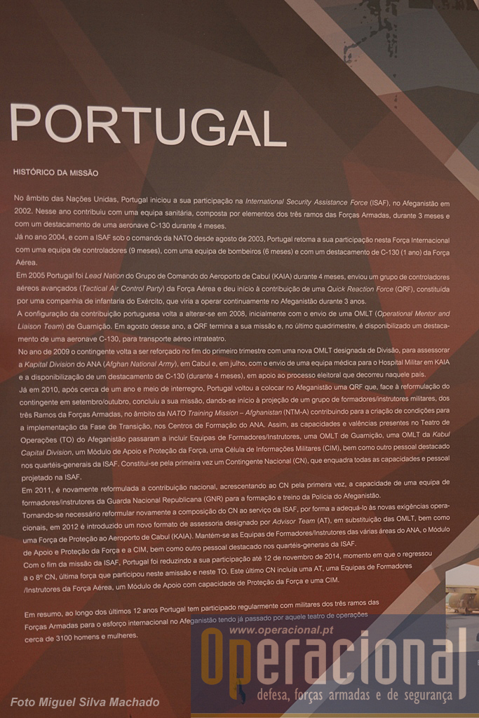Síntese da participação portuguesa.