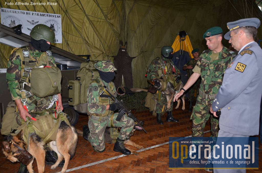 A unidade continua a dar uma atenção muito especial aos Cães Militares.